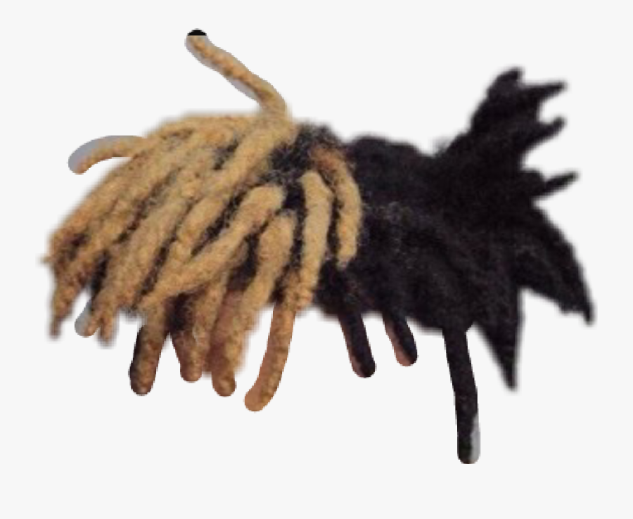 Transparent Dreadlock Png - Xxxtentacion Hair, Transparent Clipart