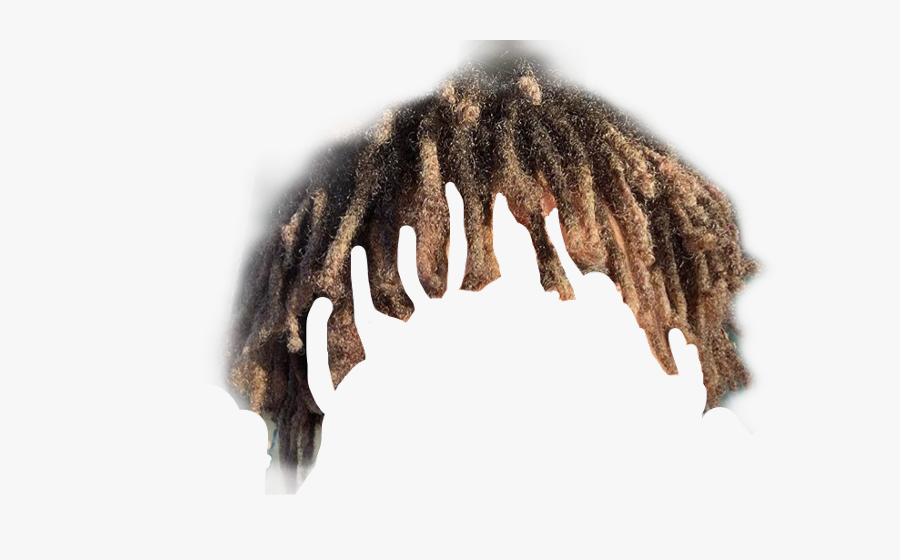 Caterpillar, Transparent Clipart
