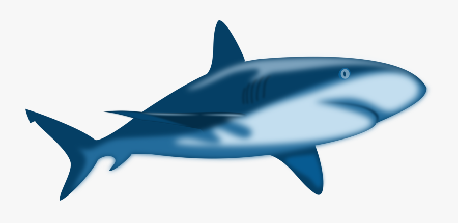 Cobalt Blue,shark,whales Dolphins And Porpoises - Cartoon Great White Shark, Transparent Clipart