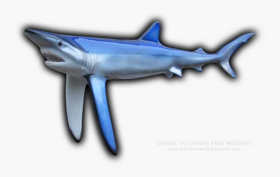 Transparent Angry Shark Clipart - Cretoxyrhina, Transparent Clipart