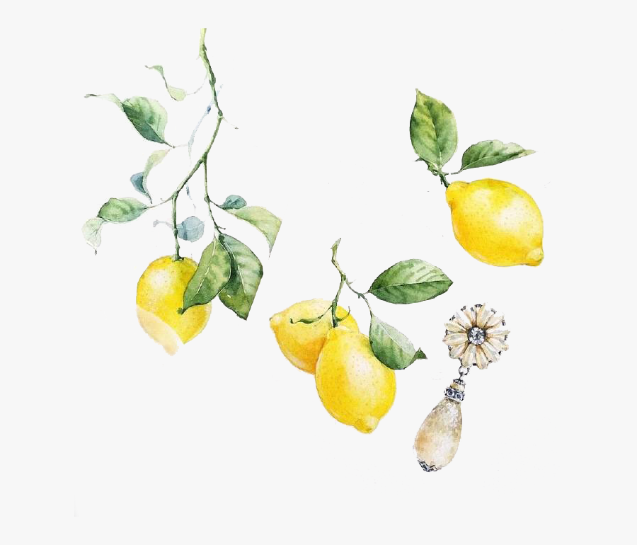 Watercolor Transparent Lemon Png, Transparent Clipart