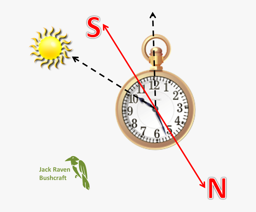 Find North With Your Watch - Finding North With A Watch, Transparent Clipart