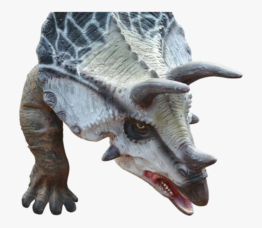 Dinosaur Png, Transparent Clipart