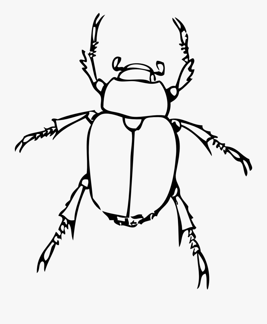 Bug Line Drawing - Insect Clipart Black And White, Transparent Clipart