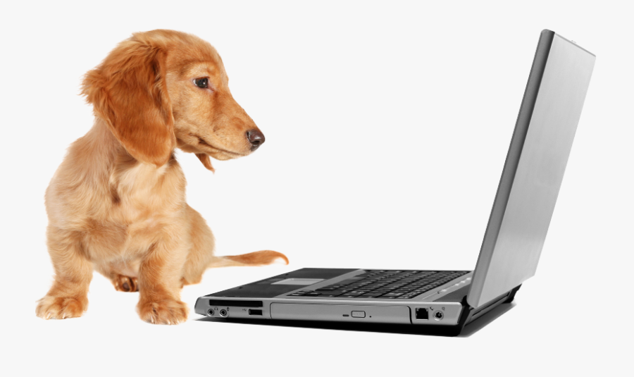 19 Things They Don"t Tell You About Graduate School - Transparent Dog On Computer Png, Transparent Clipart