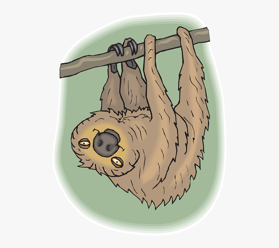 Sloth Cliparts Free - Amazon Rainforest Animals Colouring, Transparent Clipart