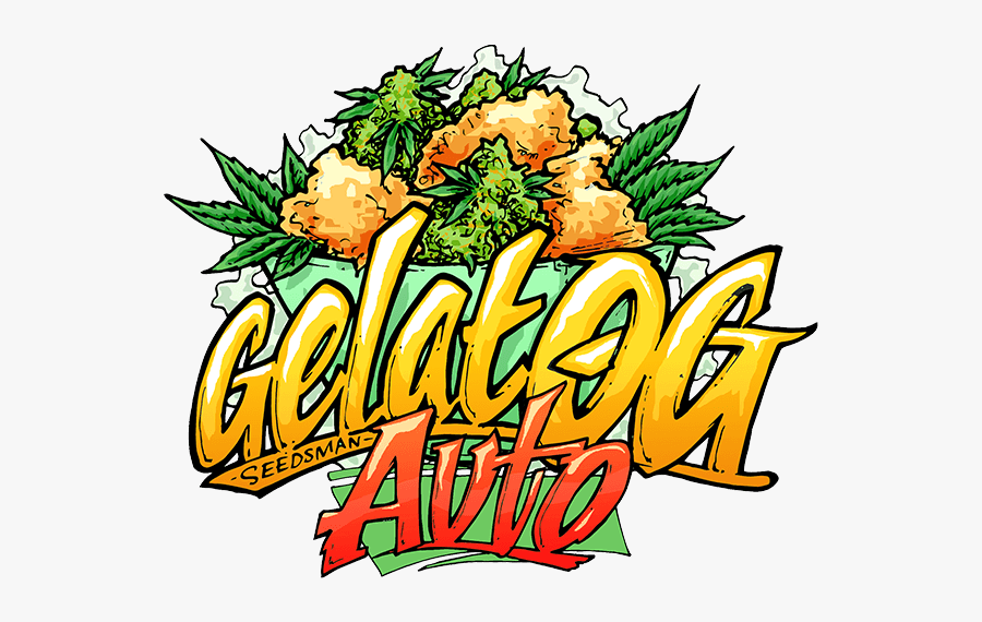Seedsman Gelato, Transparent Clipart