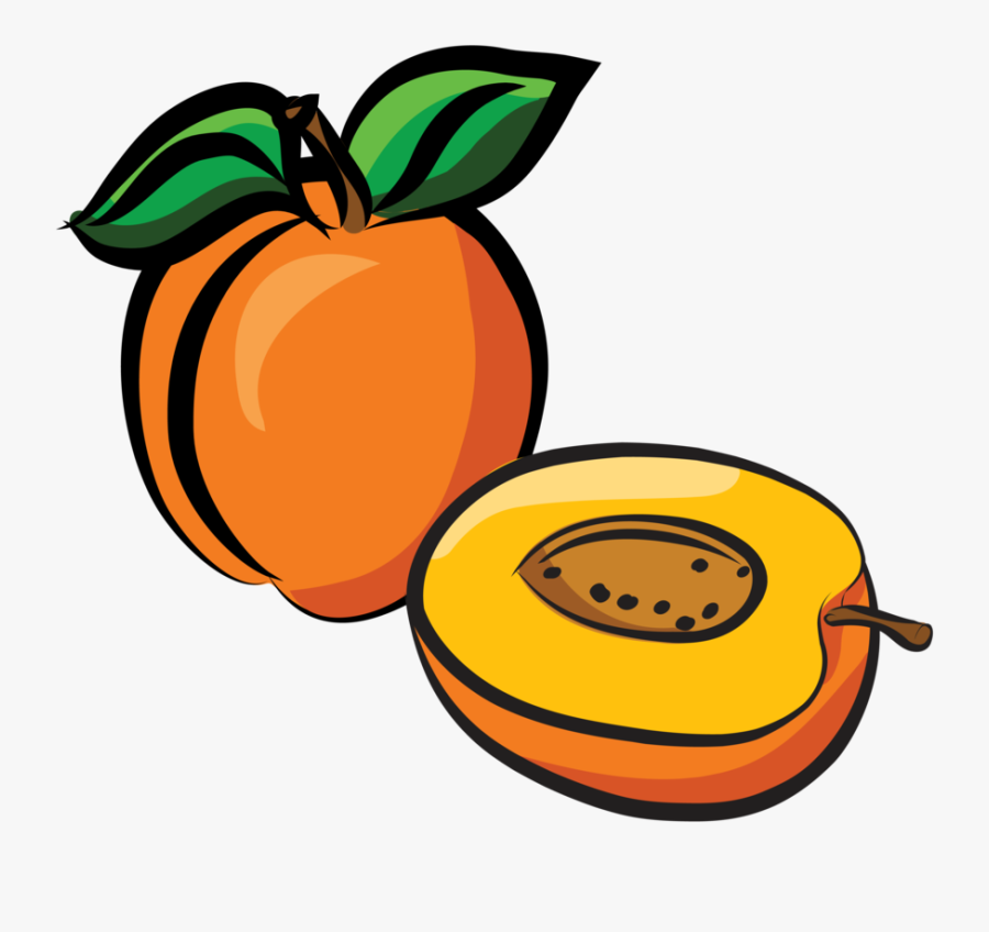 Apricot Drawing, Transparent Clipart