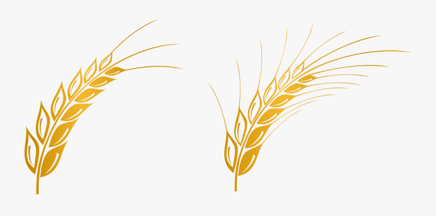 Euclidean Vector Gratis Computer File - Transparent Background Wheat Clipart, Transparent Clipart