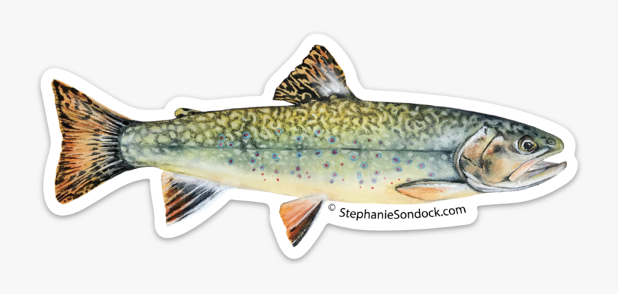 Brook Trout, Transparent Clipart
