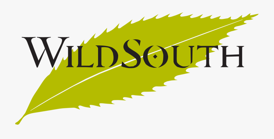 Graphic Design, Transparent Clipart