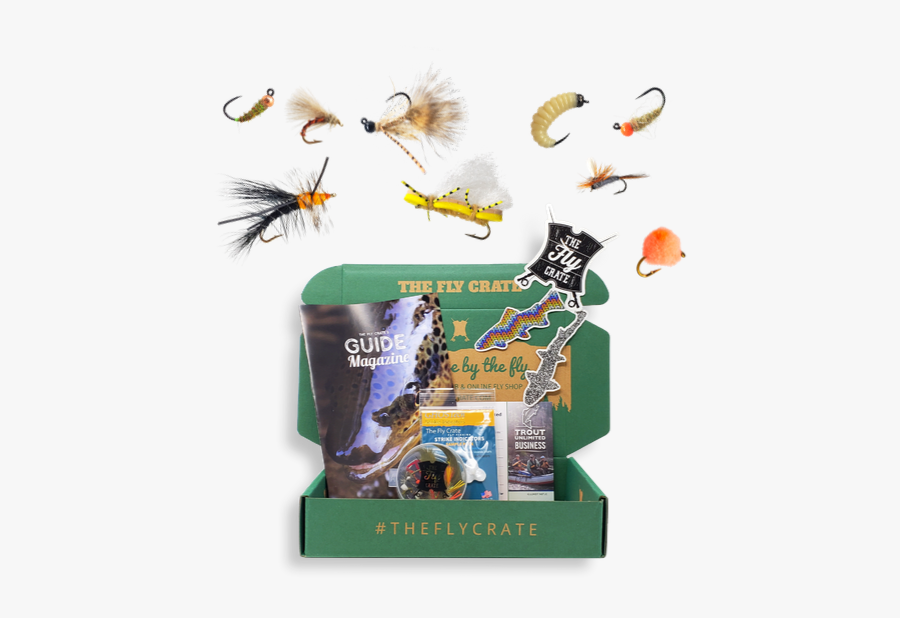 Insect, Transparent Clipart