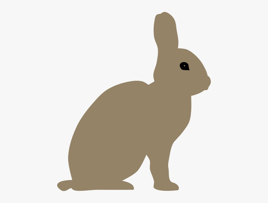 Snowshoe Hare Clip, Transparent Clipart