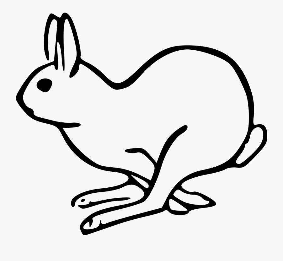 Rabits And Hares,monochrome Photography,carnivoran - Easy Arctic Hare Drawing, Transparent Clipart