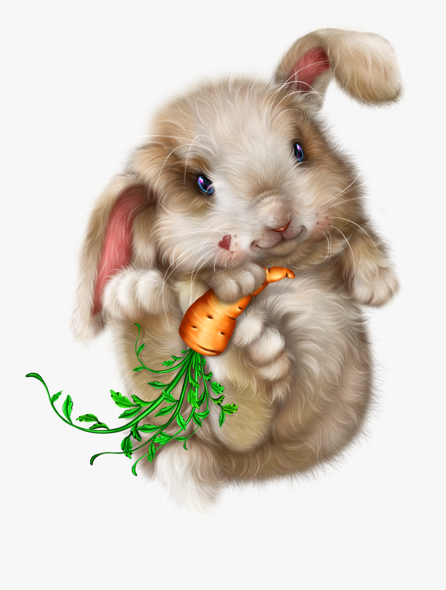 Transparent Catcher Clipart - Domestic Rabbit, Transparent Clipart