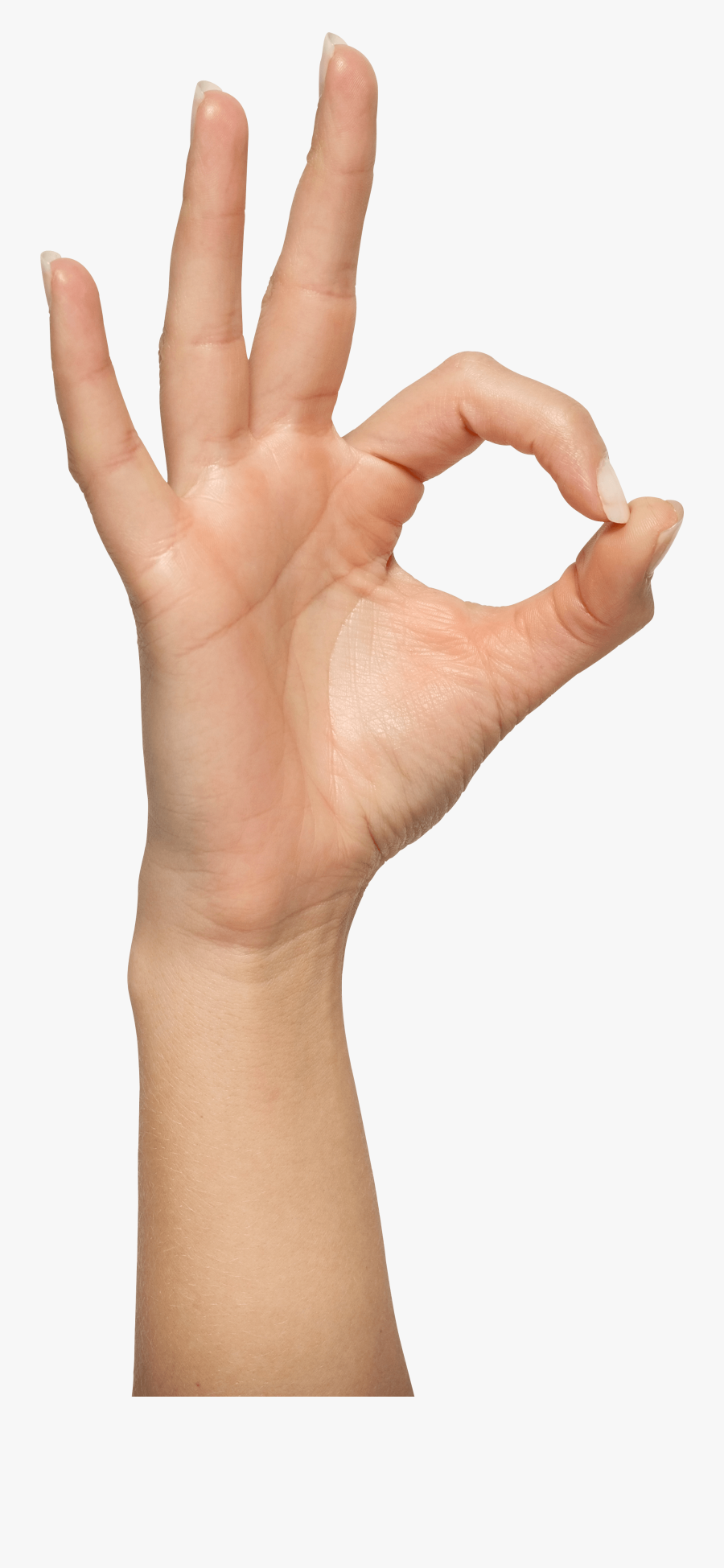 Human Hand Png - Ok Hand Sign Png, Transparent Clipart