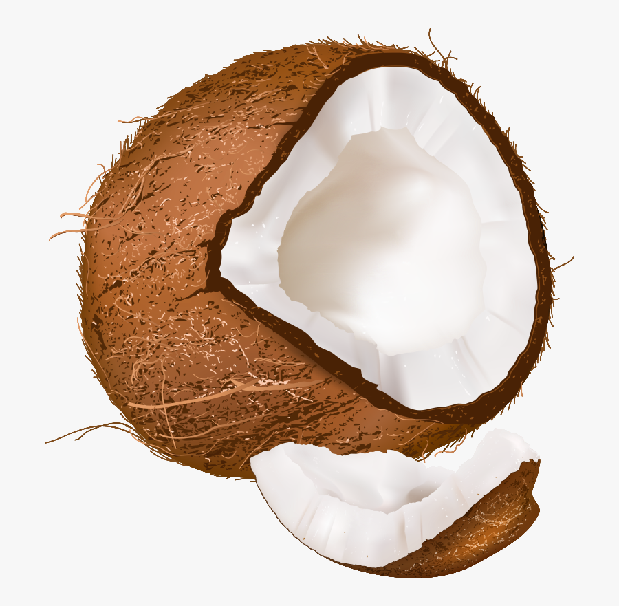 Coconut Clipart Png, Transparent Clipart
