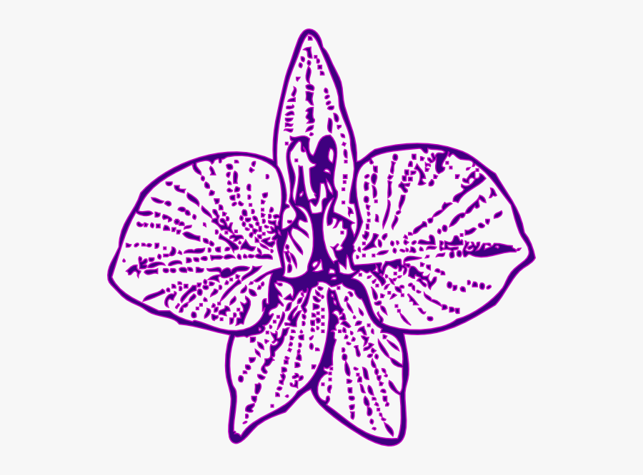 Orchid Outline Pure Svg Clip Arts - Tattoo Larkspur Flower, Transparent Clipart
