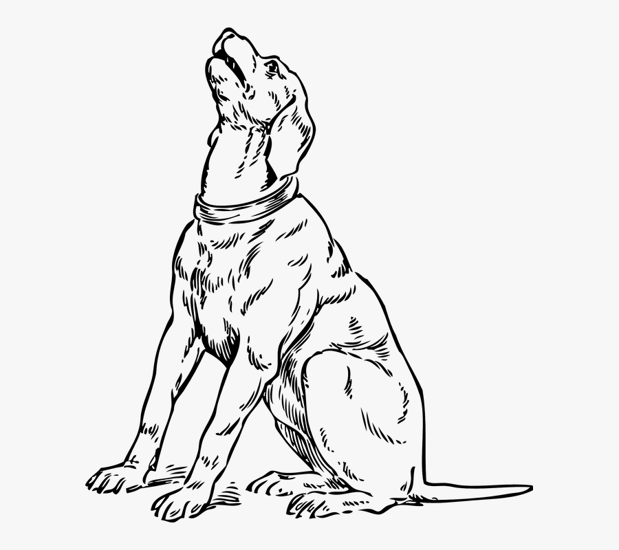 Draw A Barking Dog, Transparent Clipart