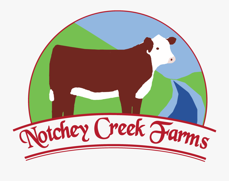 Dairy Cow, Transparent Clipart