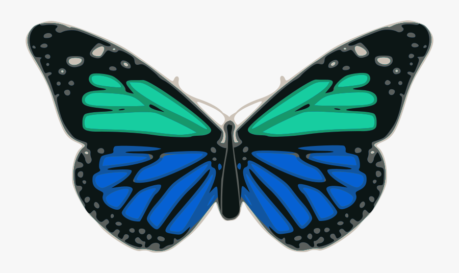 Butterfly 02 Turquoise Blue - Butterfly, Transparent Clipart