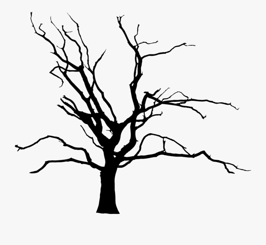 Botany,plant,leaf - Transparent Background Tree Climate Change Png, Transparent Clipart