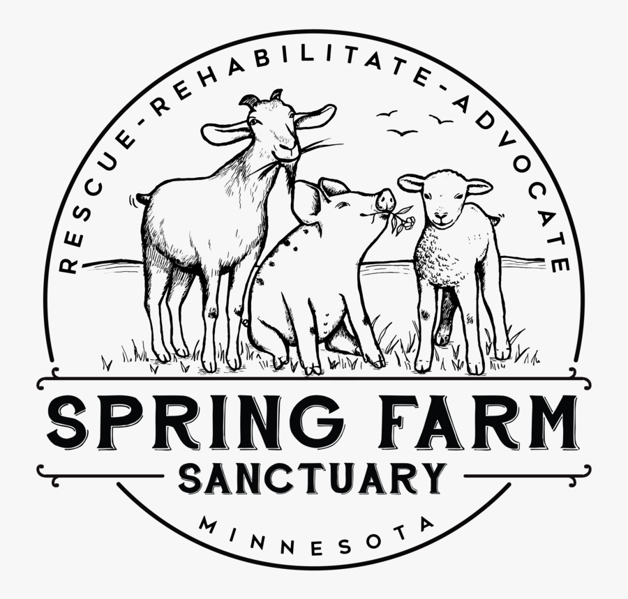 We Provide A Home For Abused And Neglected Farm Animals - Spring Farm Sanctuary Logo, Transparent Clipart