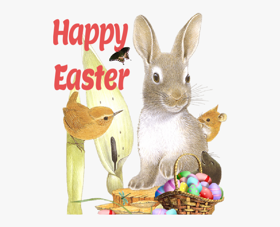 Domestic Rabbit, Transparent Clipart