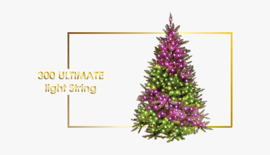 Christmas Tree, Transparent Clipart