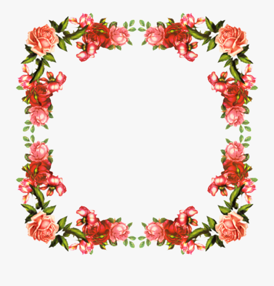 Picture Frames Poinsettia Clip Art Portable Network - Fancy Poinsettia Borders, Transparent Clipart