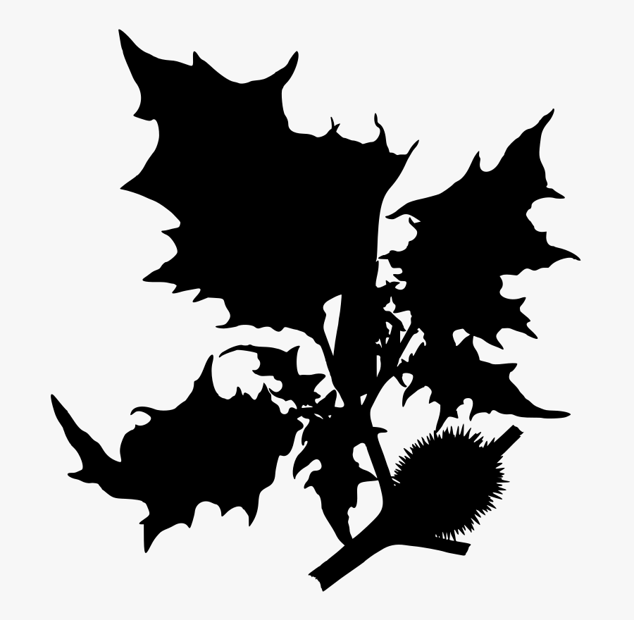 Devil"s Snare - Datura Stramonium Png, Transparent Clipart