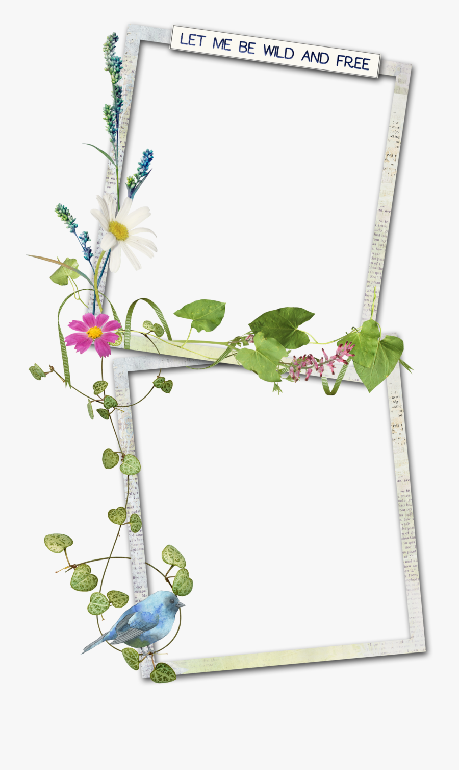 Floral Design, Transparent Clipart