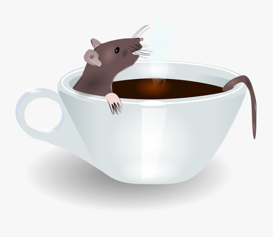 Coffee, Cup Rat Coffee Morning Steam Bath Rodent M - Rat In Coffee, Transparent Clipart