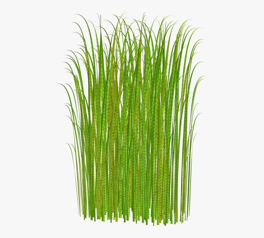 High Grass No Background, Transparent Clipart