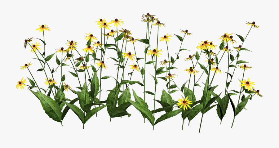 Png Format Images Of Flowers - Transparent Flower Plant Png, Transparent Clipart