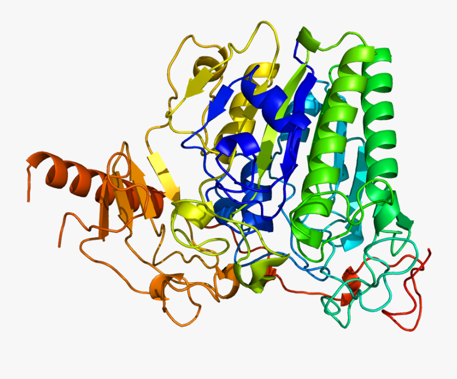 Arsa Gene Clipart , Png Download - Arsa Gene, Transparent Clipart