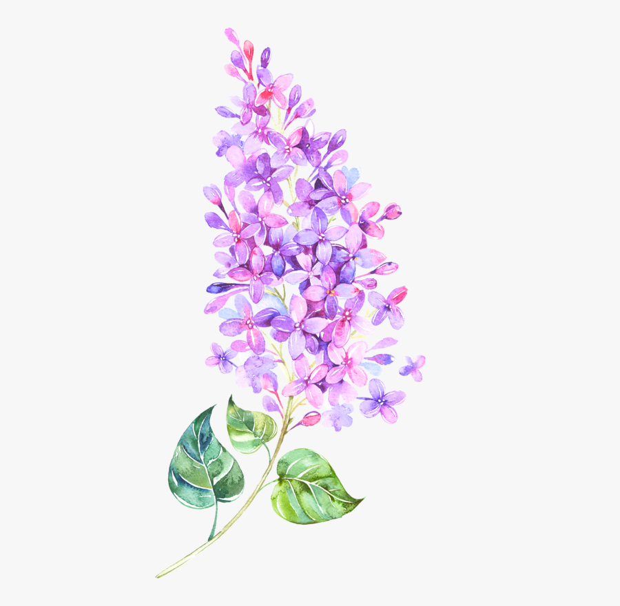 Tattoo Flowers Lilac, Transparent Clipart