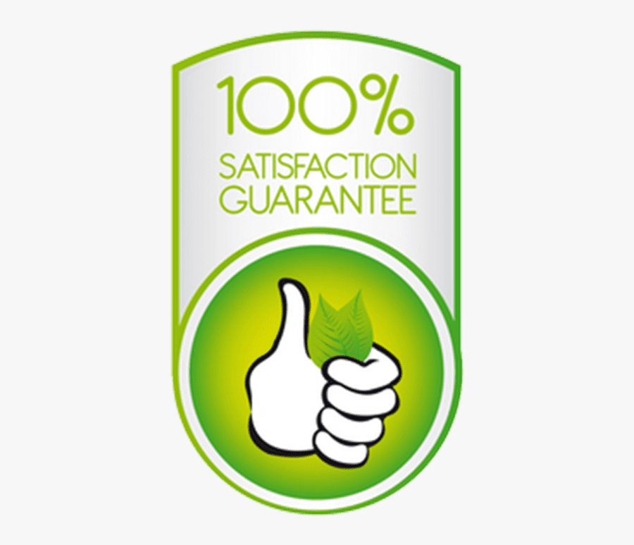 Senna Driven To Perfection, Transparent Clipart