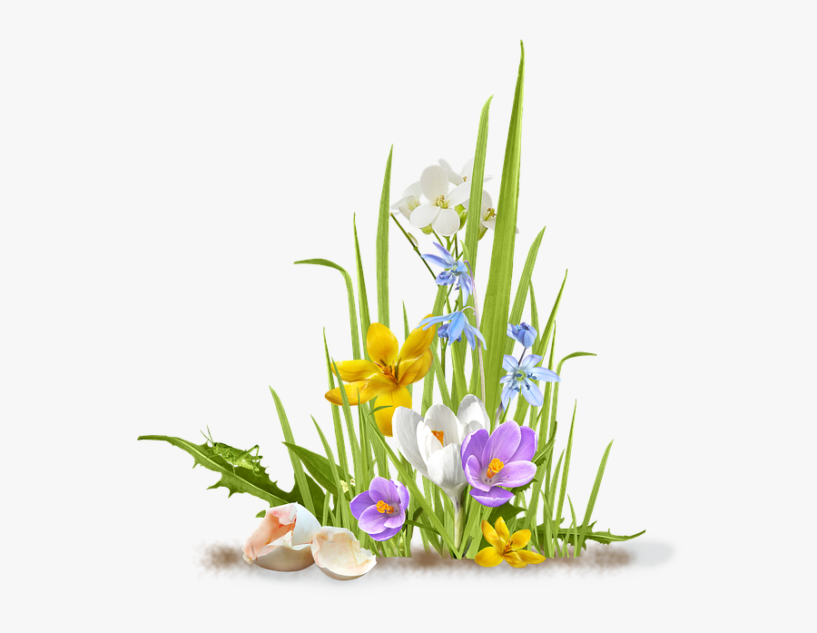 Free Photo Wood Raw - Flowers And Grass Png, Transparent Clipart
