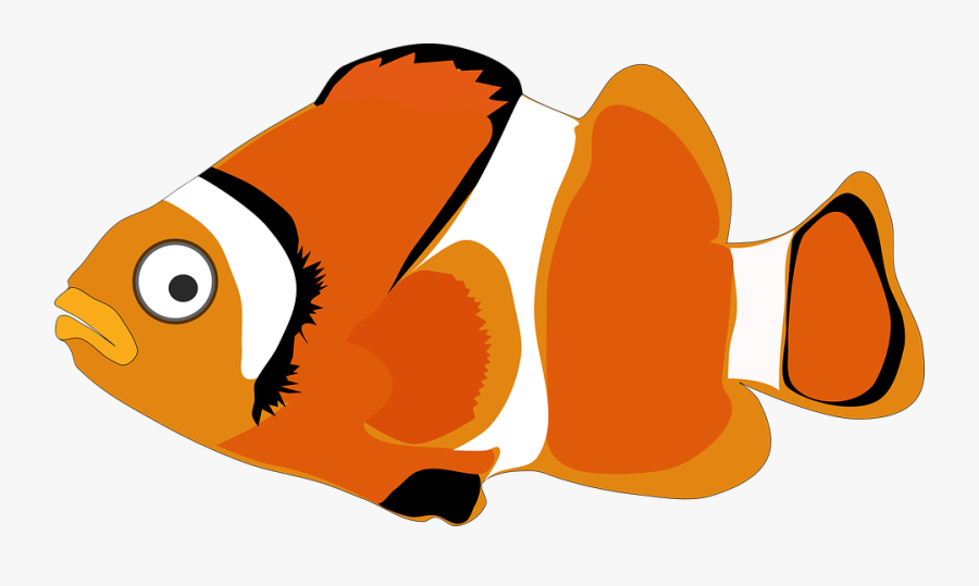 Wallpaper Ikan Nemo - Ocean Fish Clip Art, Transparent Clipart