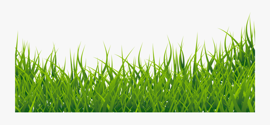 Grass Border Clipart Png - Grass Border Clipart, Transparent Clipart