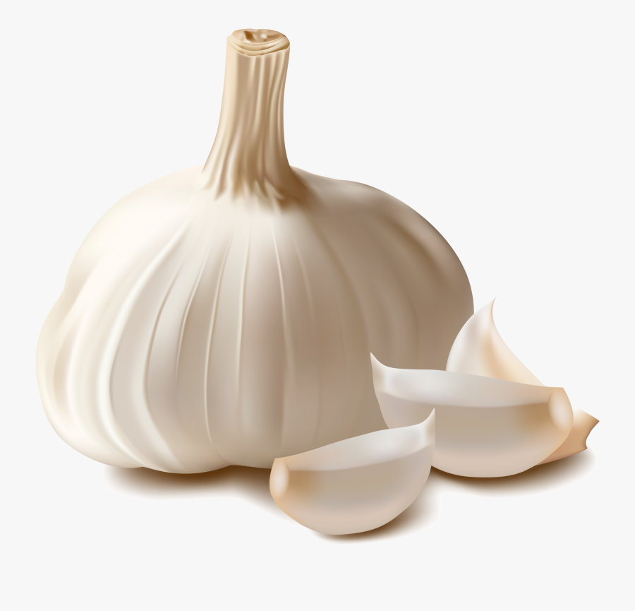 Garlic Png, Transparent Clipart
