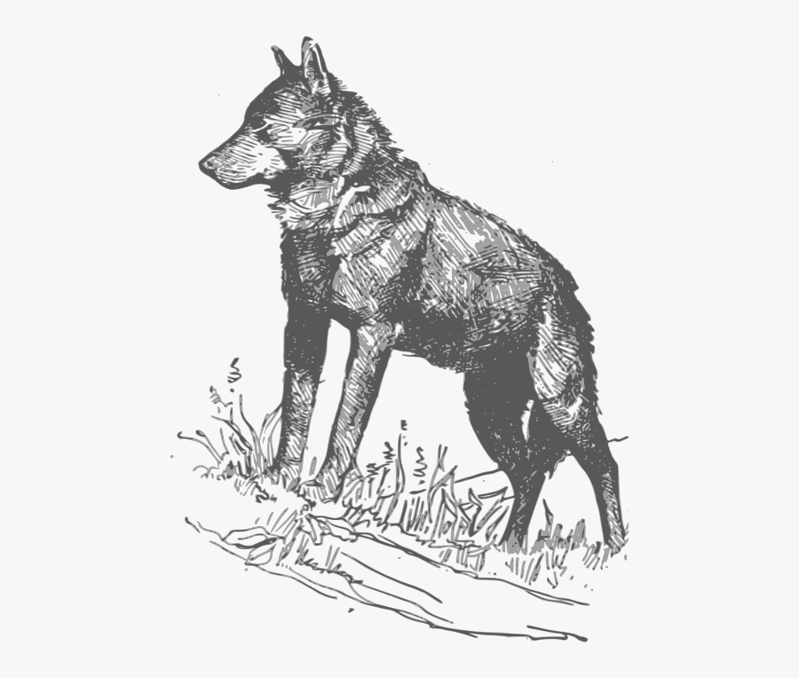 Transparent Red Wolf Clipart - Dog Yawns, Transparent Clipart