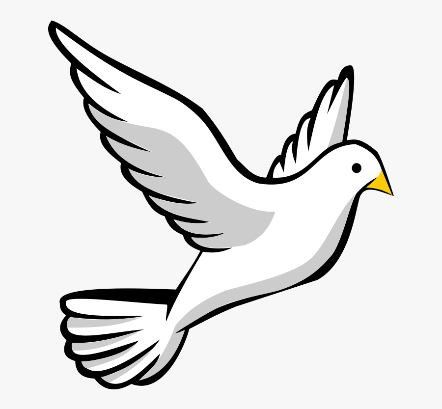 Dove Vector Art - Flying Bird Pencil Drawing, Transparent Clipart