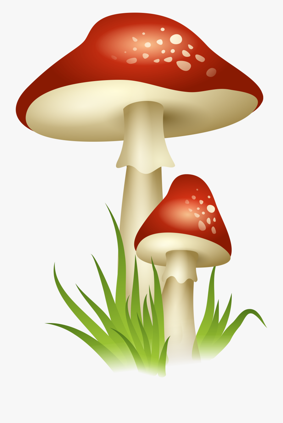 Mushroom Clip Art - Mushroom Clipart Transparent Background, Transparent Clipart