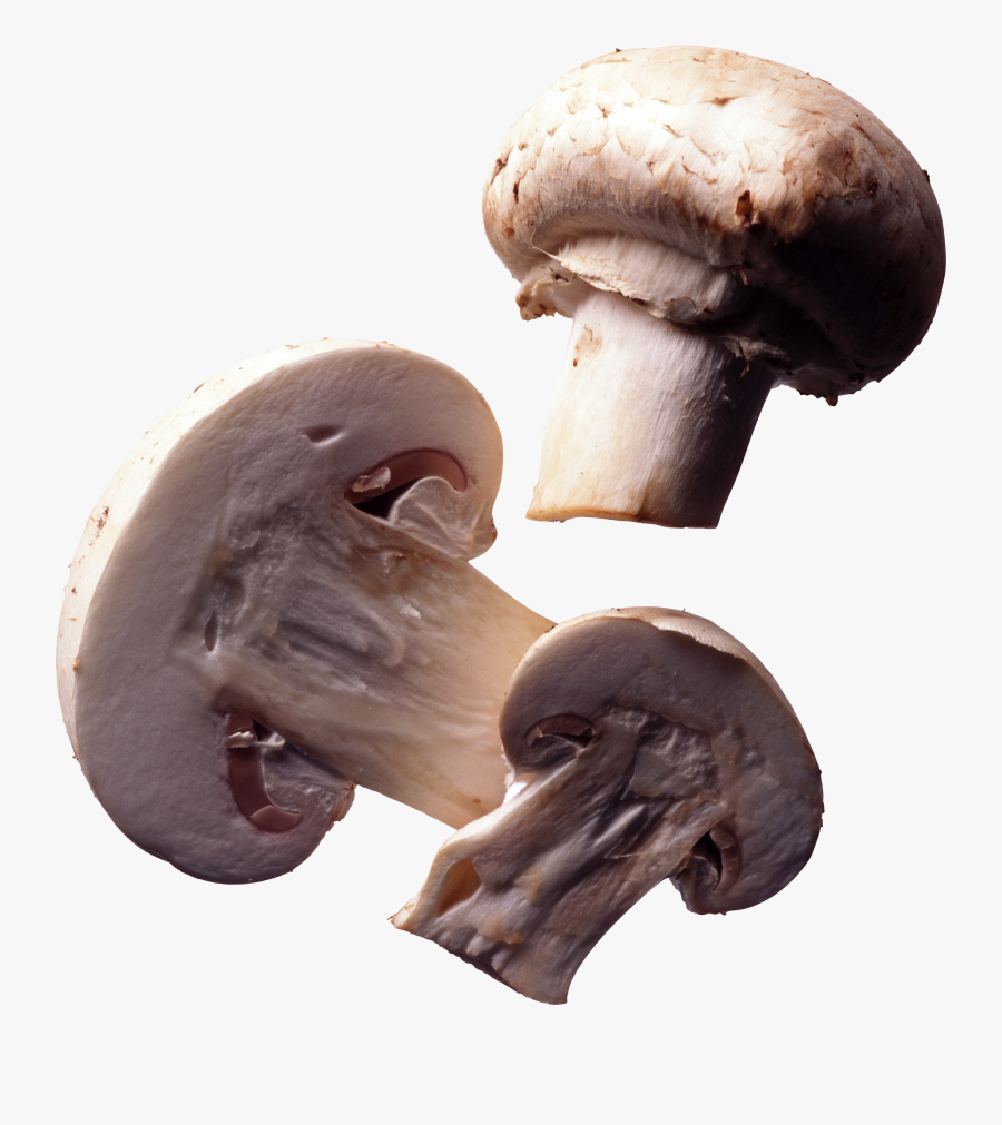 Mushrooms Transparent, Transparent Clipart