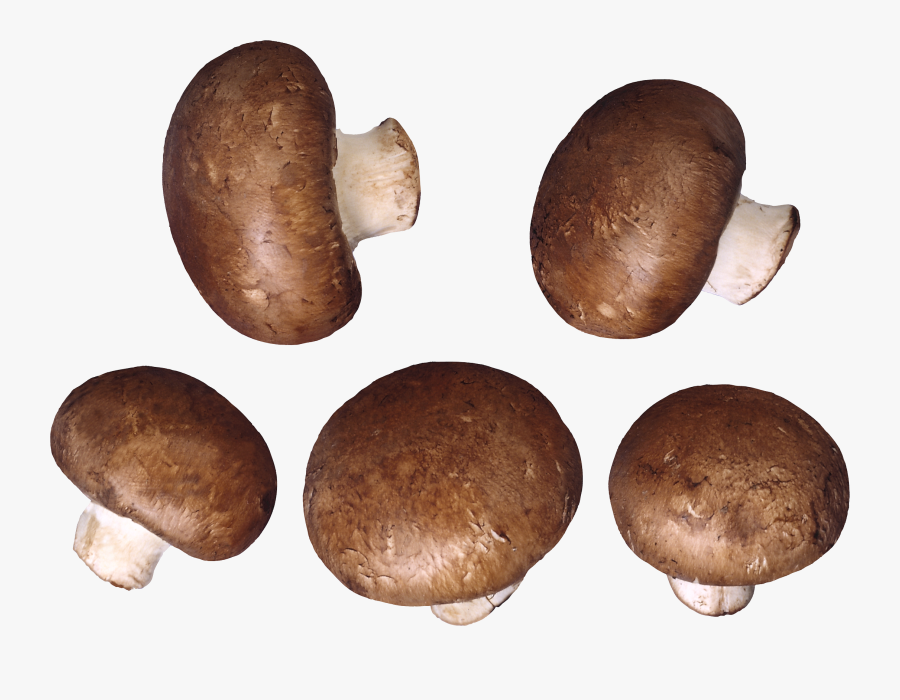 Download For Free Mushroom Png Picture - Mushrooms Png, Transparent Clipart