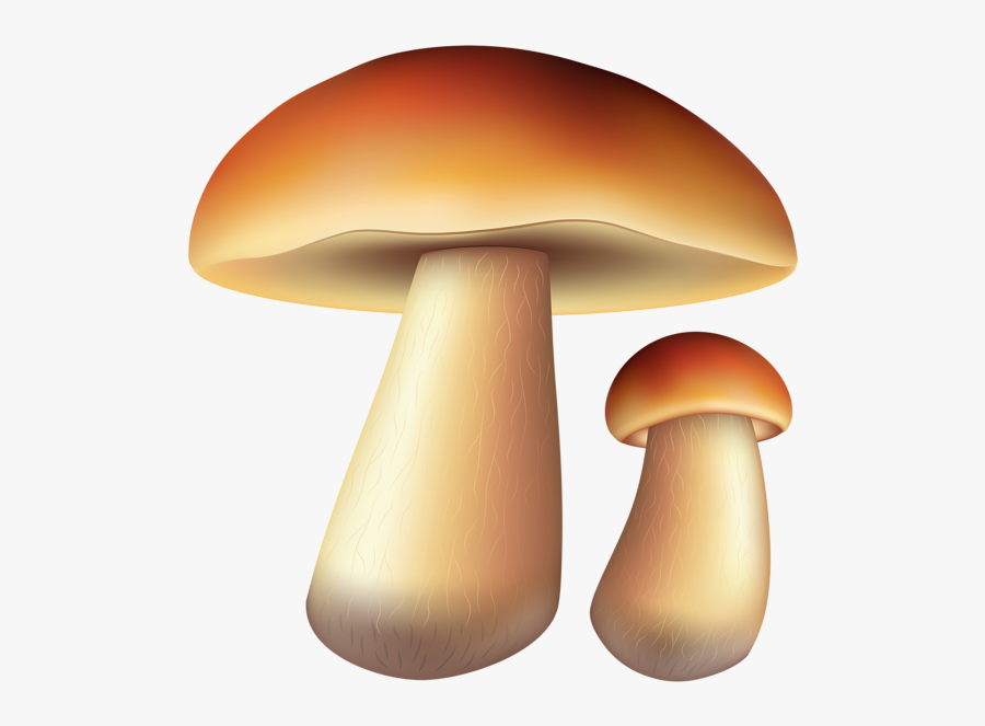 Champignon D Automne Clip Art, Transparent Clipart
