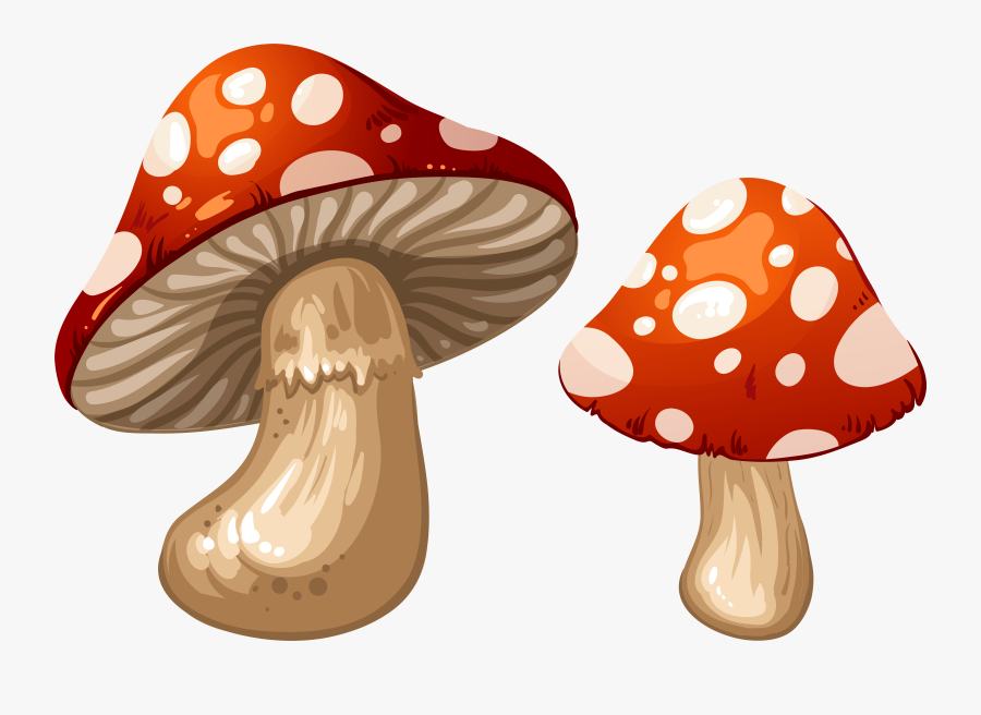 Mushrooms Png Clip Art - Alice's Adventures In Wonderland Mushroom, Transparent Clipart