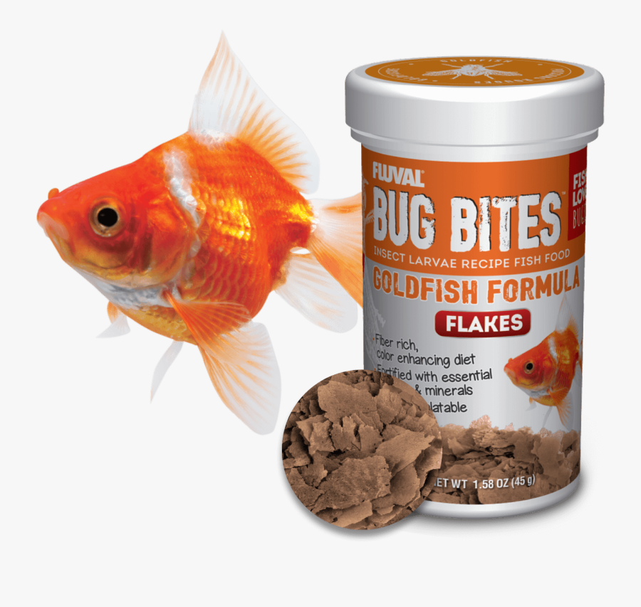 Goldfish, Transparent Clipart